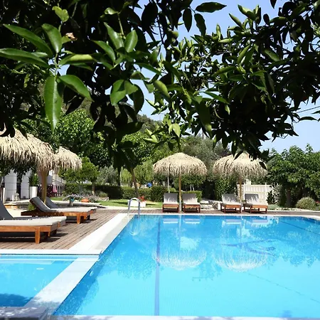 アパートホテル Avra 3*